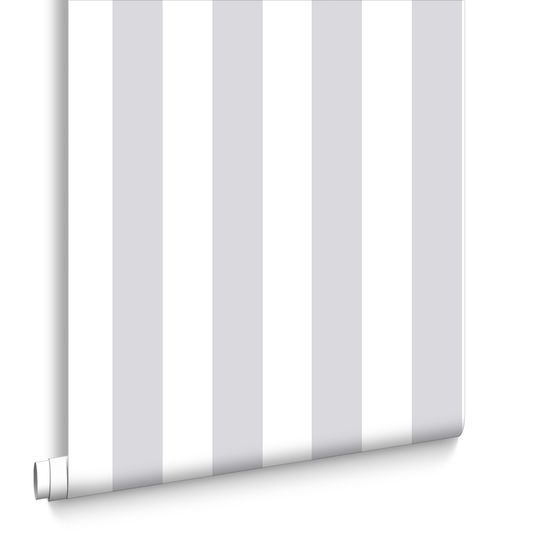 Silver Stripe